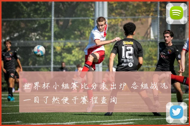 世界杯小组赛比分表出炉 各组战况一目了然便于赛程查询