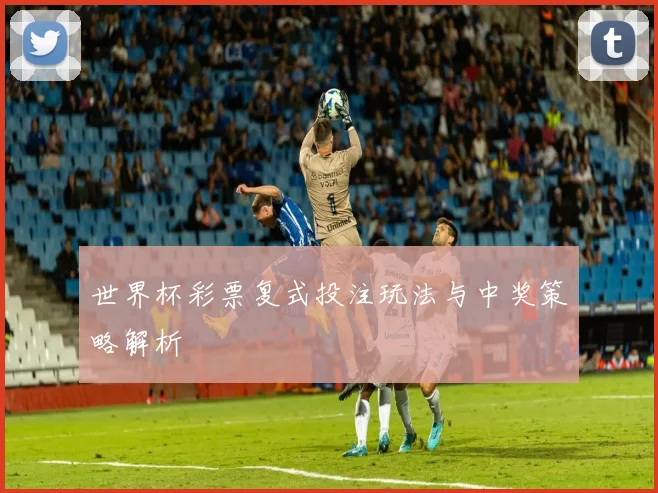 世界杯彩票复式投注玩法与中奖策略解析