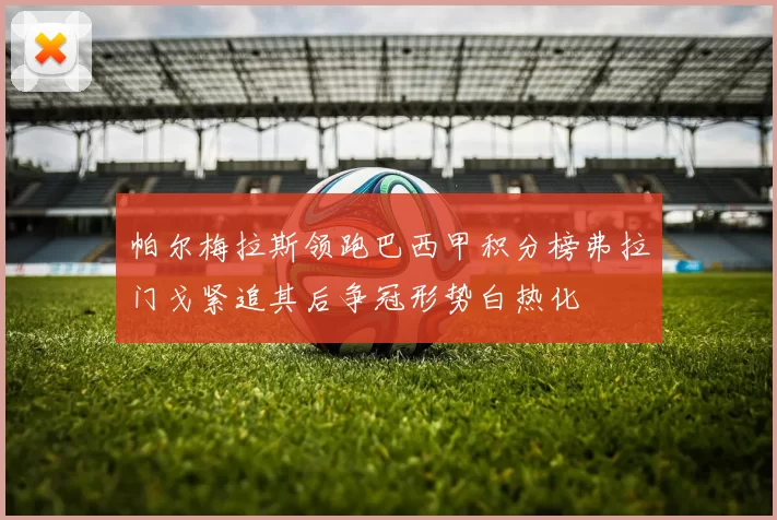 帕尔梅拉斯领跑巴西甲积分榜弗拉门戈紧追其后争冠形势白热化